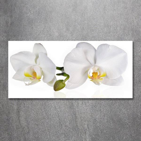 Quadro in vetro acrilico Orchidea