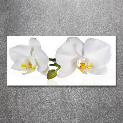 Quadro in vetro acrilico Orchidea