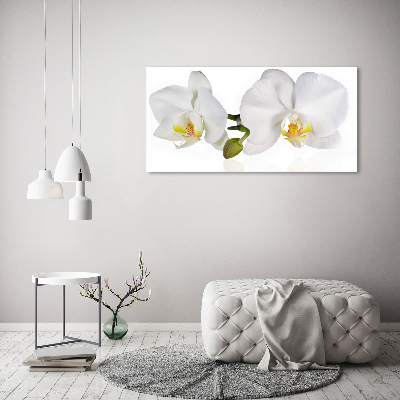 Quadro in vetro acrilico Orchidea