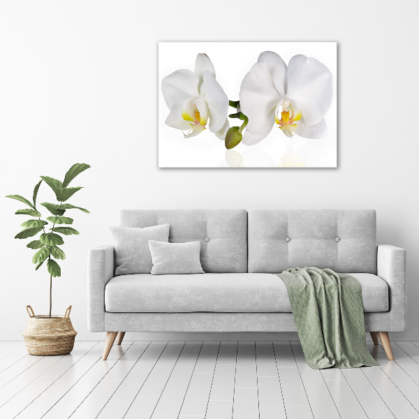 Quadro in vetro acrilico Orchidea