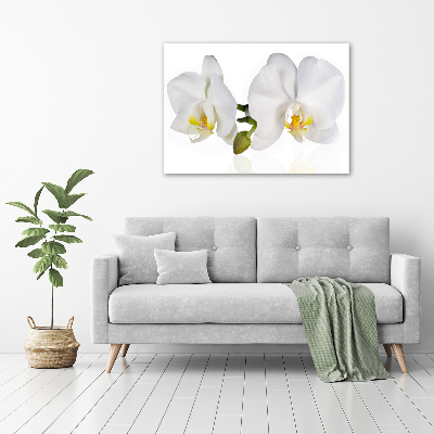 Quadro in vetro acrilico Orchidea
