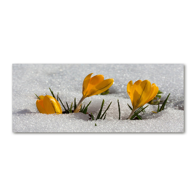 Quadro vetro acrilico Crochi nella neve