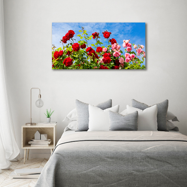 Quadro in vetro acrilico Rose selvatiche