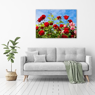 Quadro in vetro acrilico Rose selvatiche