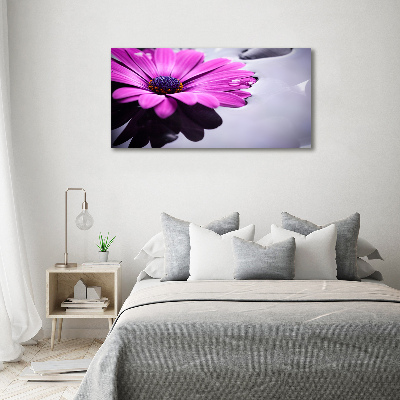 Quadro vetro acrilico Gerbera