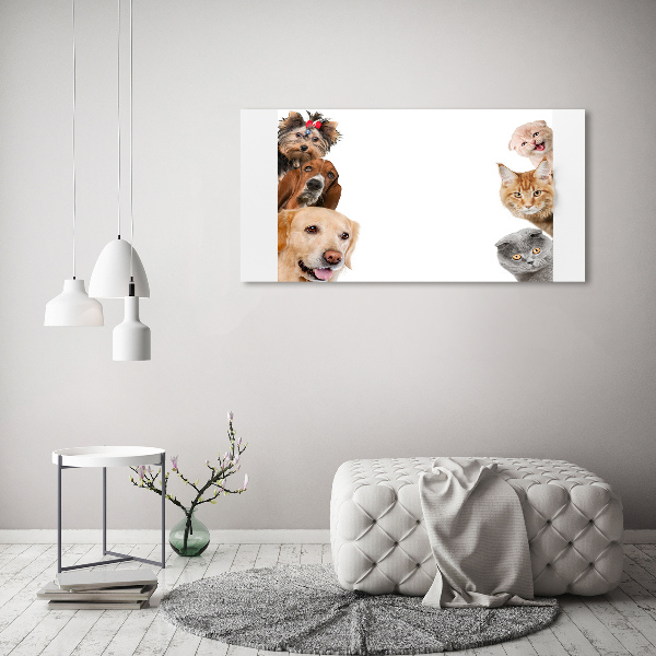 Quadro vetro acrilico Cani e gatti
