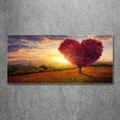 Quadro su vetro acrilico Cuore di campo dell'albero