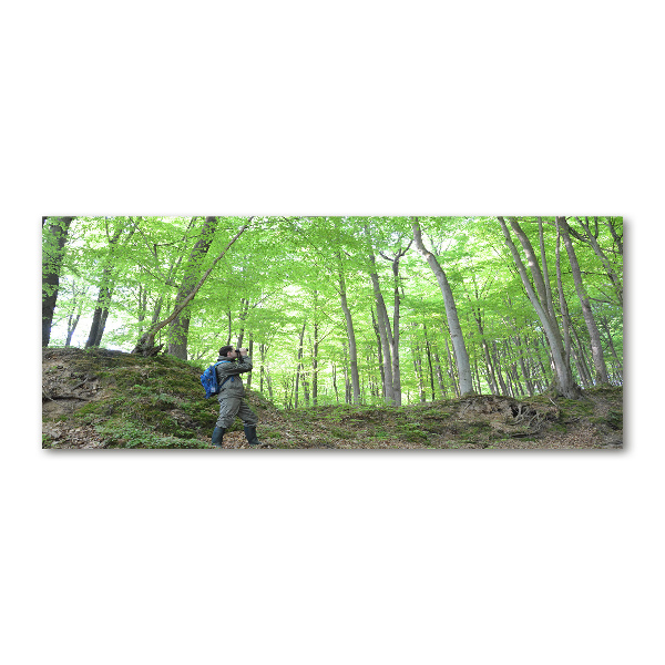 Quadro in vetro acrilico Ornitologo nella foresta