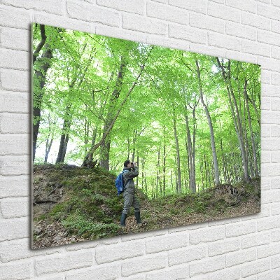 Quadro in vetro acrilico Ornitologo nella foresta
