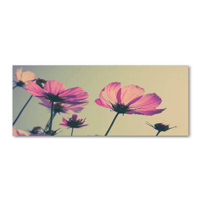 Quadro su vetro acrilico Fiori rosa