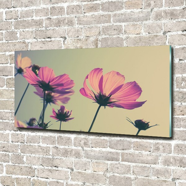Quadro su vetro acrilico Fiori rosa