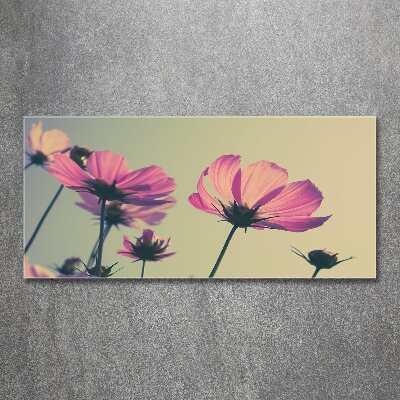 Quadro su vetro acrilico Fiori rosa
