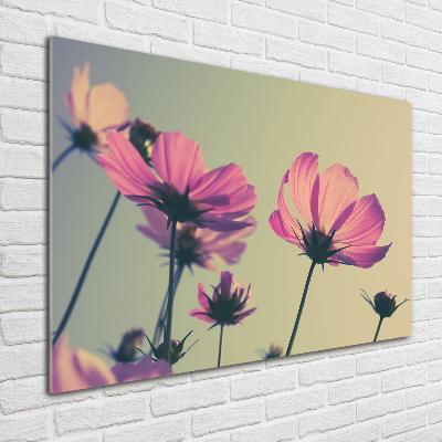 Quadro su vetro acrilico Fiori rosa