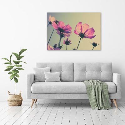 Quadro su vetro acrilico Fiori rosa