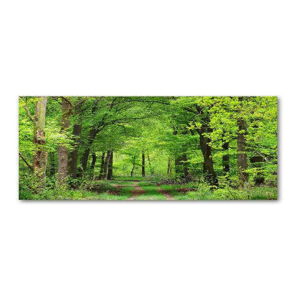Quadro vetro acrilico Foresta primaverile