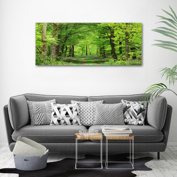 Quadro vetro acrilico Foresta primaverile