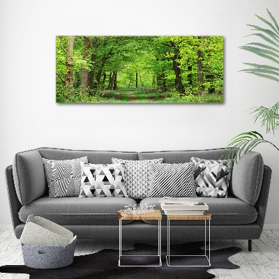 Quadro vetro acrilico Foresta primaverile