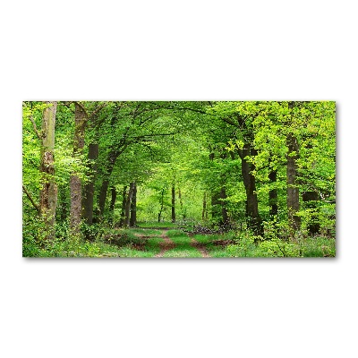 Quadro vetro acrilico Foresta primaverile