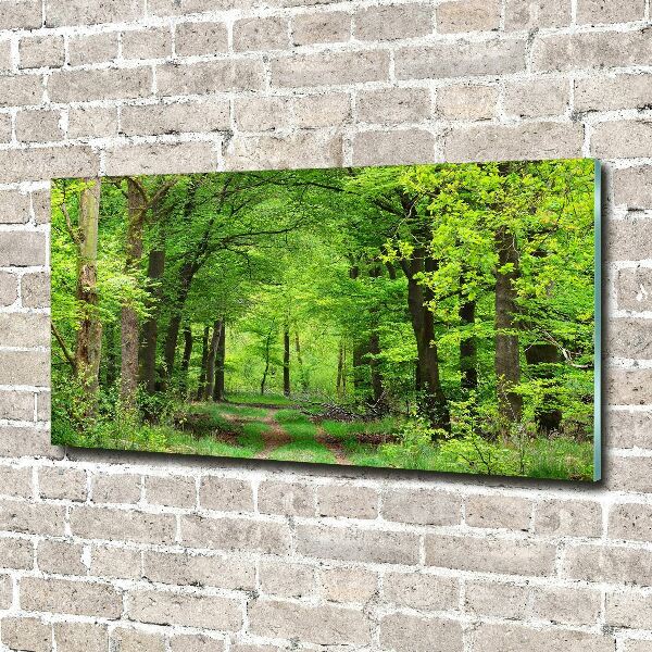 Quadro vetro acrilico Foresta primaverile