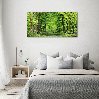 Quadro vetro acrilico Foresta primaverile