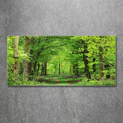 Quadro vetro acrilico Foresta primaverile