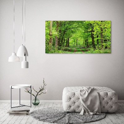 Quadro vetro acrilico Foresta primaverile
