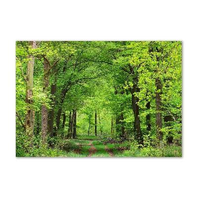 Quadro vetro acrilico Foresta primaverile