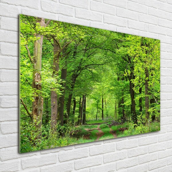 Quadro vetro acrilico Foresta primaverile