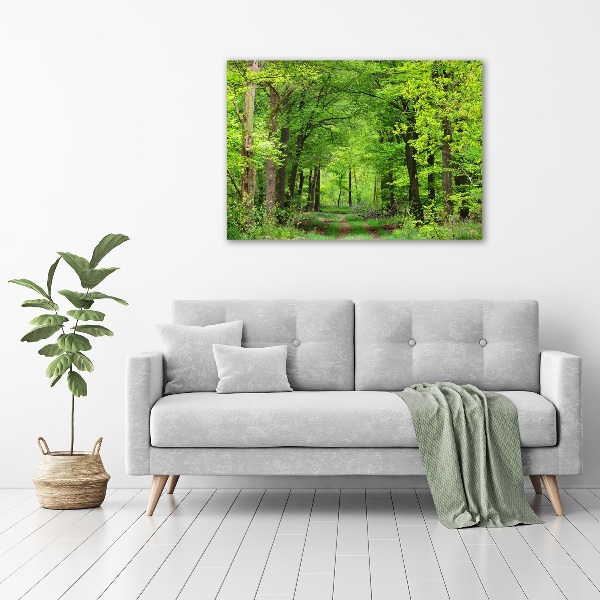 Quadro vetro acrilico Foresta primaverile