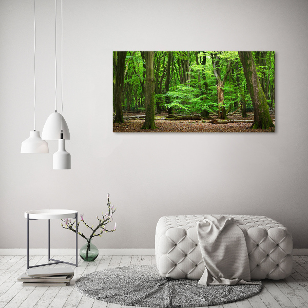 Quadro su vetro acrilico Foresta olandese