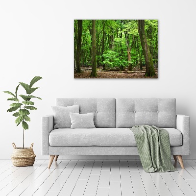 Quadro su vetro acrilico Foresta olandese