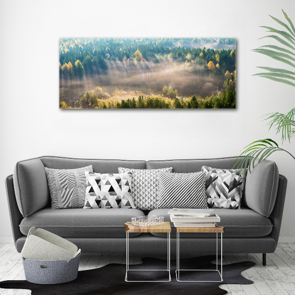 Quadro vetro acrilico Nebbia nella foresta