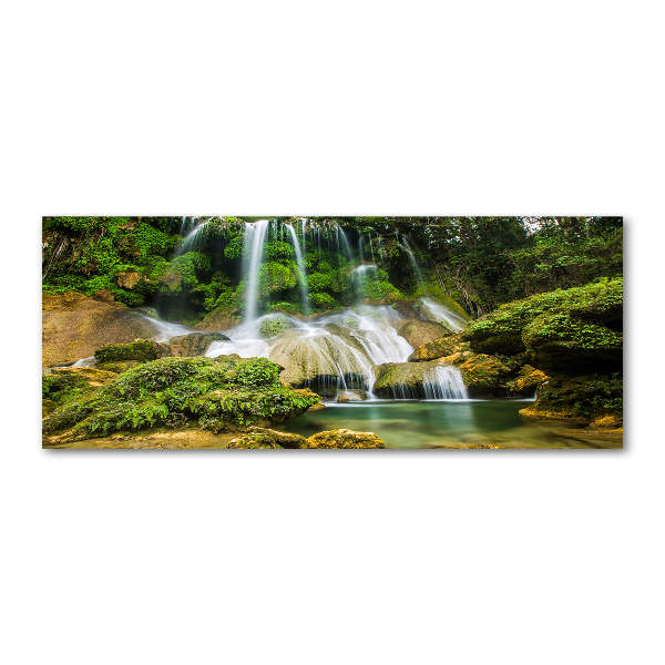 Quadro su vetro acrilico Cascata