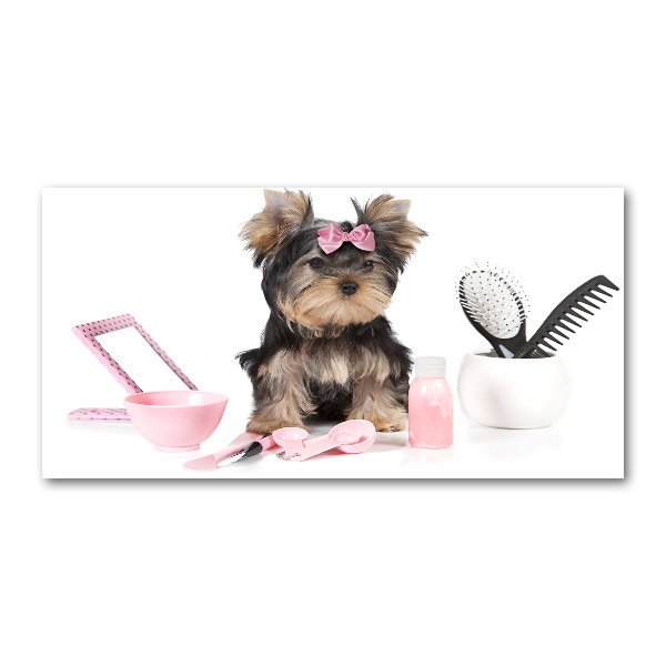 Quadro in vetro acrilico Cosmetici dello Yorkshire