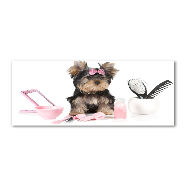 Quadro in vetro acrilico Cosmetici dello Yorkshire