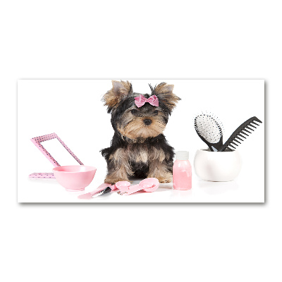 Quadro in vetro acrilico Cosmetici dello Yorkshire