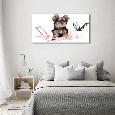 Quadro in vetro acrilico Cosmetici dello Yorkshire