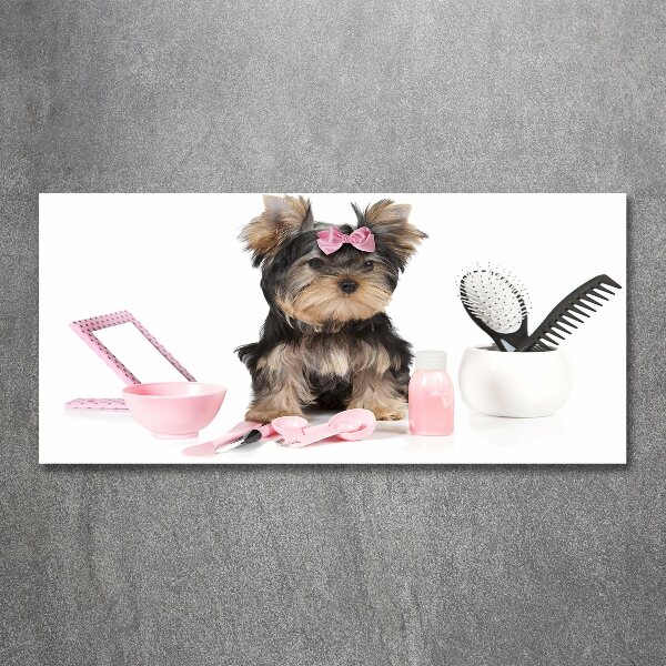 Quadro in vetro acrilico Cosmetici dello Yorkshire