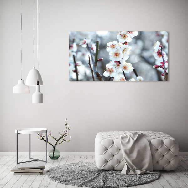 Quadro in vetro acrilico Fiori di ciliegio