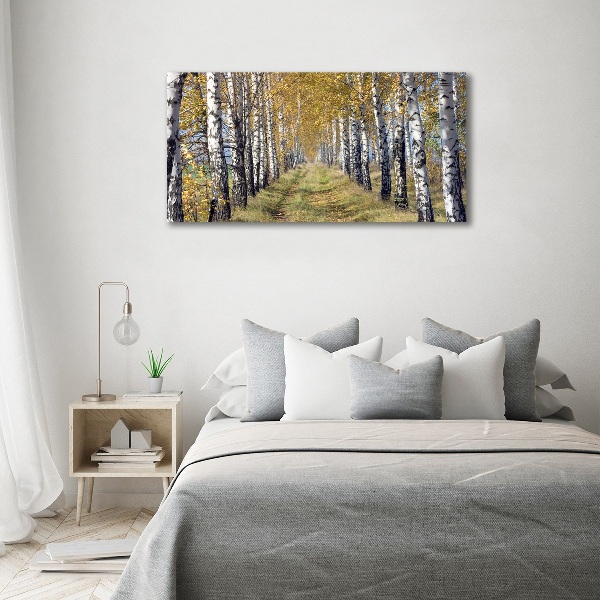 Quadro in vetro acrilico Betulle in autunno