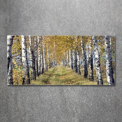 Quadro in vetro acrilico Betulle in autunno