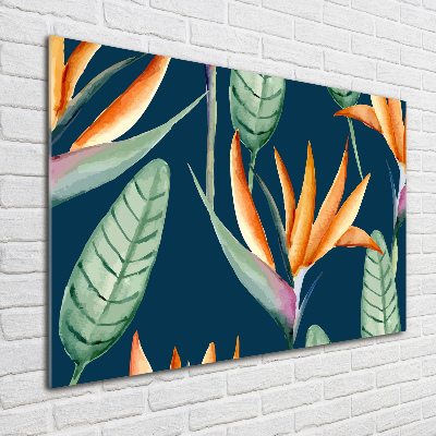 Quadro su vetro acrilico Strelitzia reginae