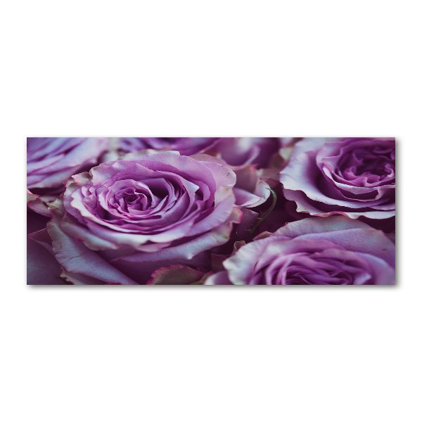 Quadro su vetro acrilico Rose viola