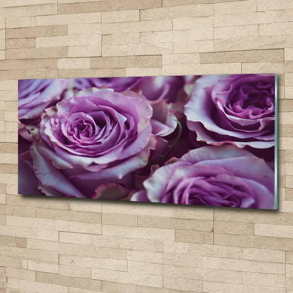 Quadro su vetro acrilico Rose viola