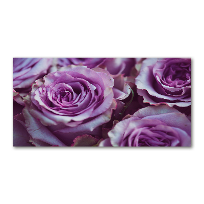 Quadro su vetro acrilico Rose viola
