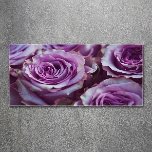Quadro su vetro acrilico Rose viola