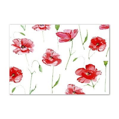 Quadro in vetro acrilico Papaveri