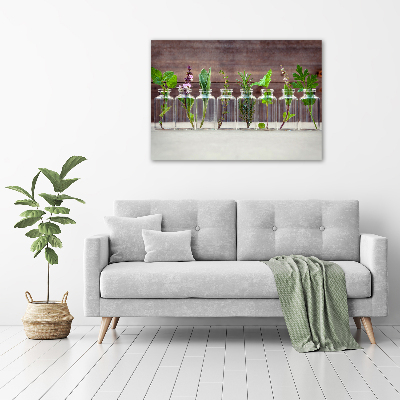 Quadro vetro acrilico Piante in vaso