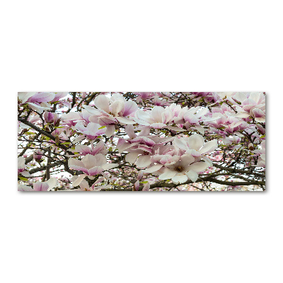 Quadro su vetro acrilico Fiori di magnolia
