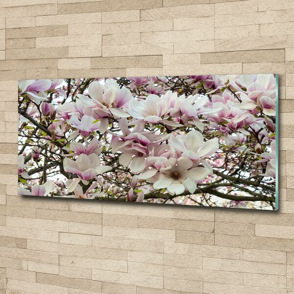 Quadro su vetro acrilico Fiori di magnolia